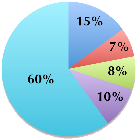 70/30 Portfolio 70/30 Portfolio pie chart