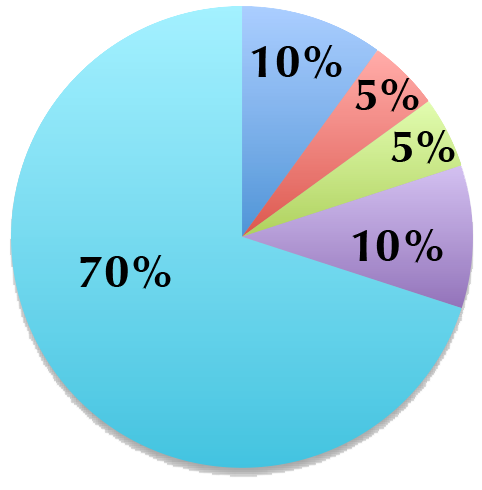 80/20 Portfolio 80/20 Portfolio pie chart